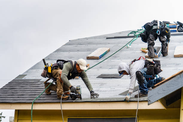 Professional Roof Repair technician working in Rome City, IN